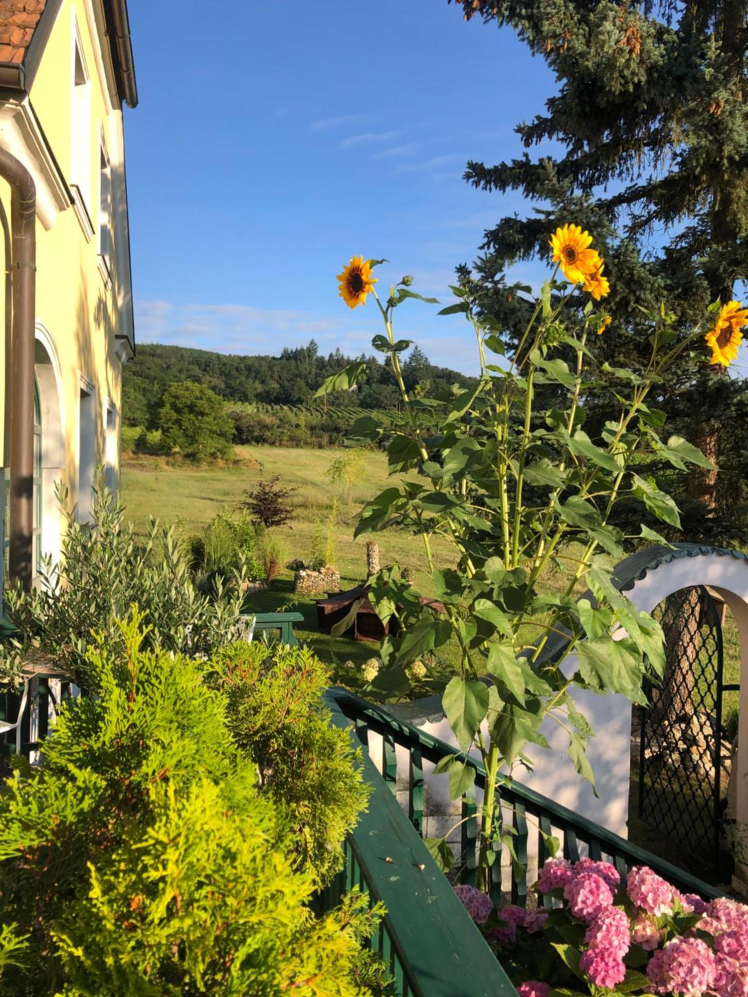 Gaestehaus Annemaria Séjour chez l'habitant *